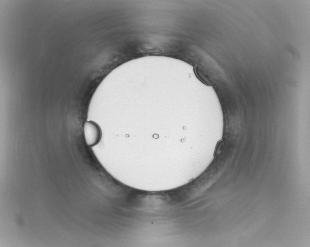 X0000114400751200911271517