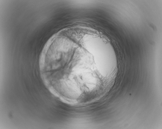 X0000114400753200911271517