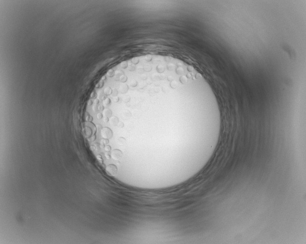 X0000114400755200911271517