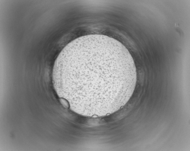 X0000114400757200911271517