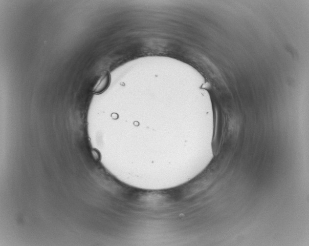 X0000114400759200911271517