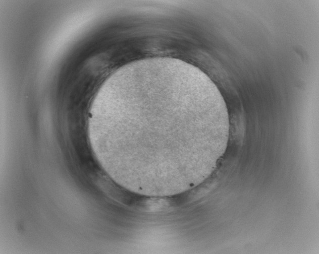 X0000114400762200911271517