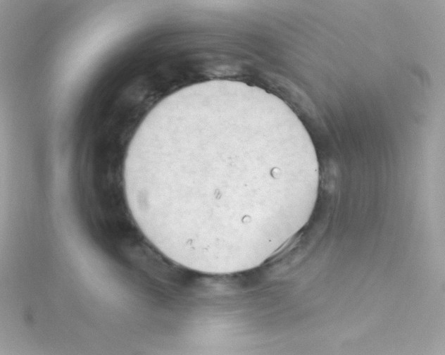 X0000114400763200911271517