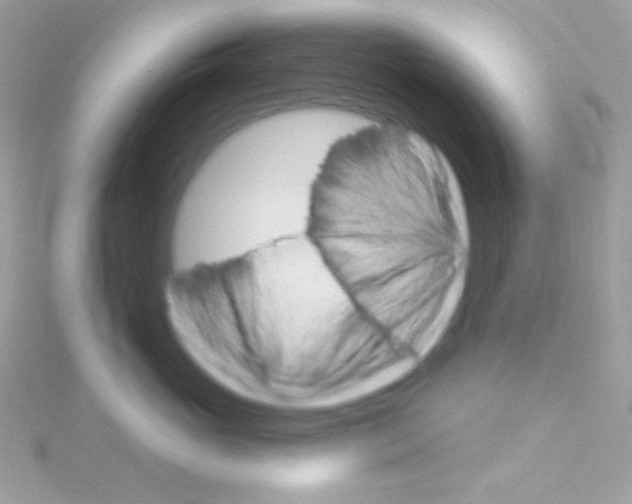 X0000114400765200911271517