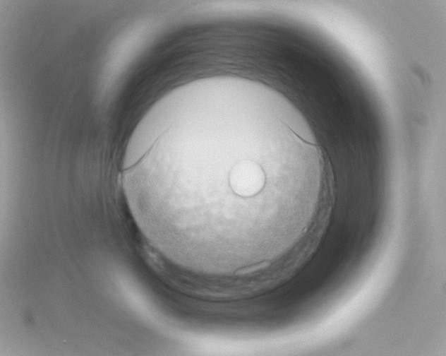 X0000114400766200911271517