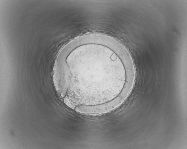 X0000114400769200911271516