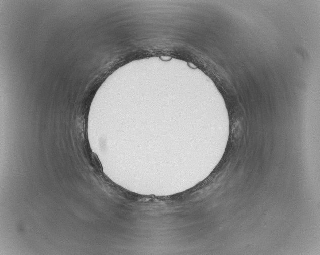 X0000114400772200911271516