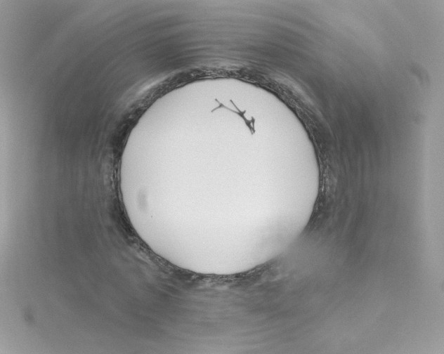 X0000114400773200911271516