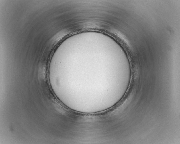 X0000114400777200911271516