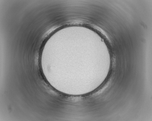 X0000114400778200911271516