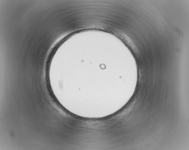 X0000114400780200911271516