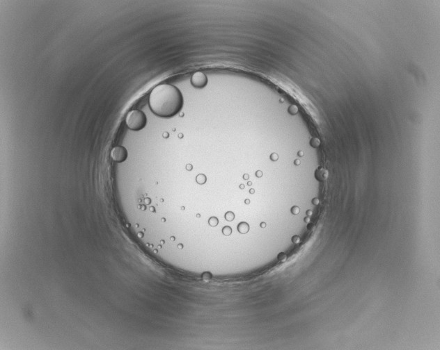 X0000114400782200911271516