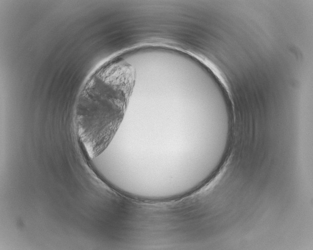 X0000114400783200911271516