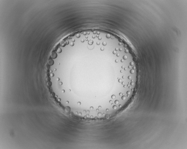 X0000114400786200911271516