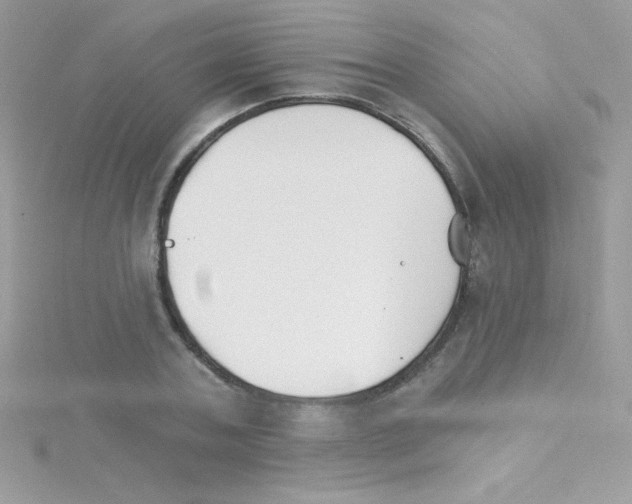 X0000114400787200911271516