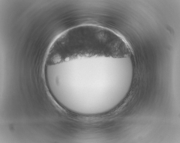 X0000114400791200911271516