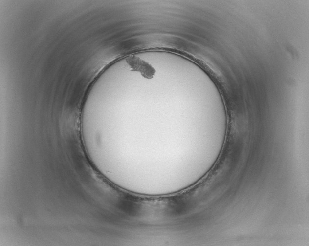 X0000114400793200911271516