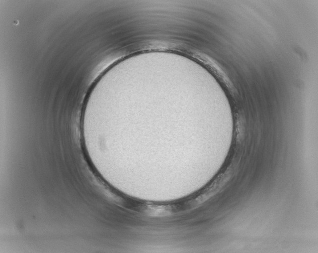 X0000114400794200911271516