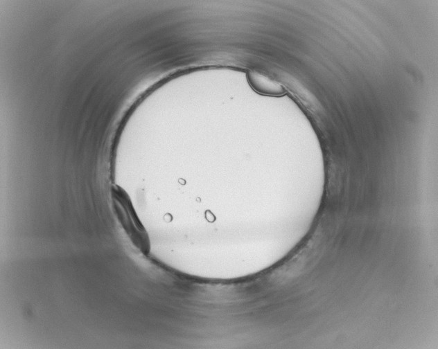 X0000114400800200911271516