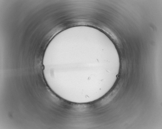 X0000114400801200911271516