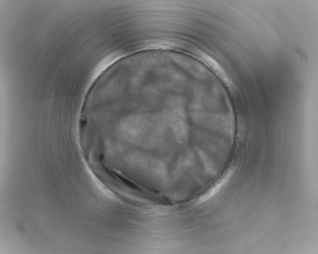 X0000114400802200911271516