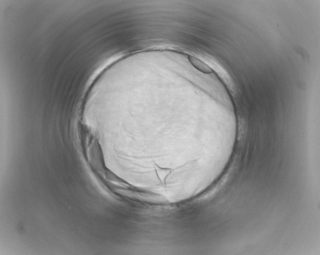 X0000114400806200911271516