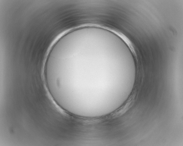 X0000114400807200911271516