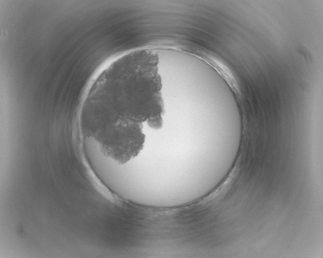 X0000114400808200911271516