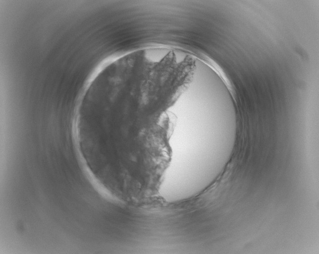 X0000114400811200911271516