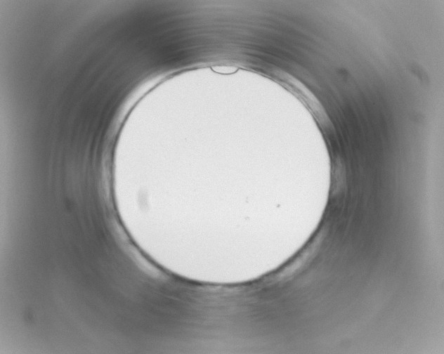 X0000114400812200911271516