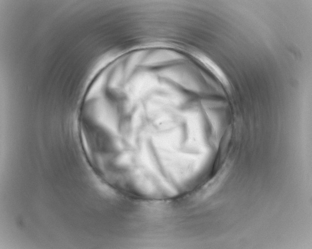 X0000114400813200911271516