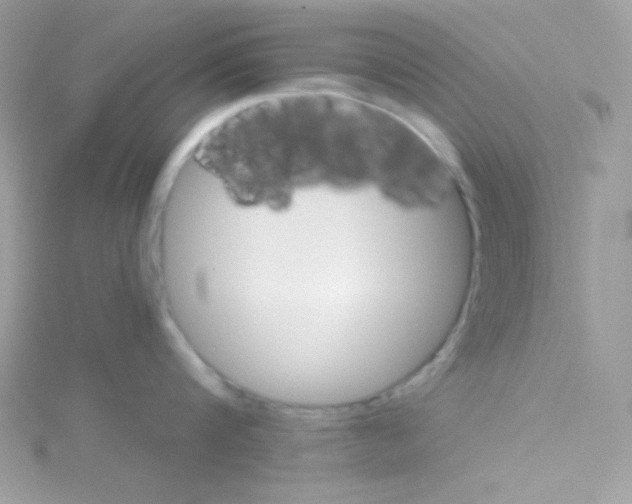 X0000114400816200911271516