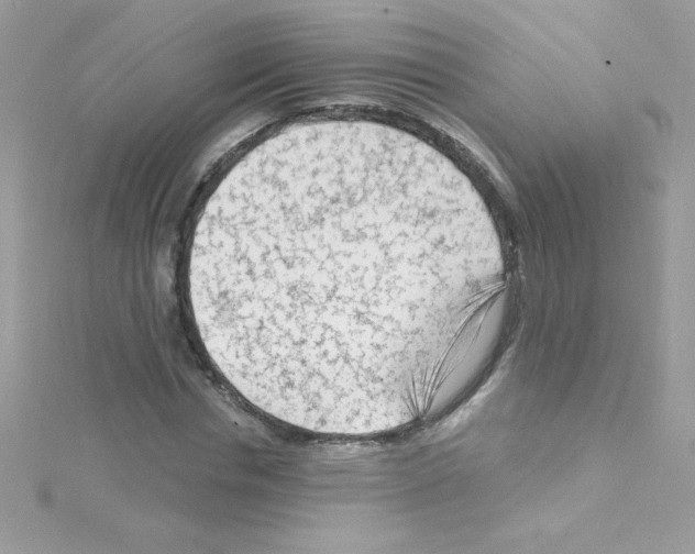 X0000114400826200911271515