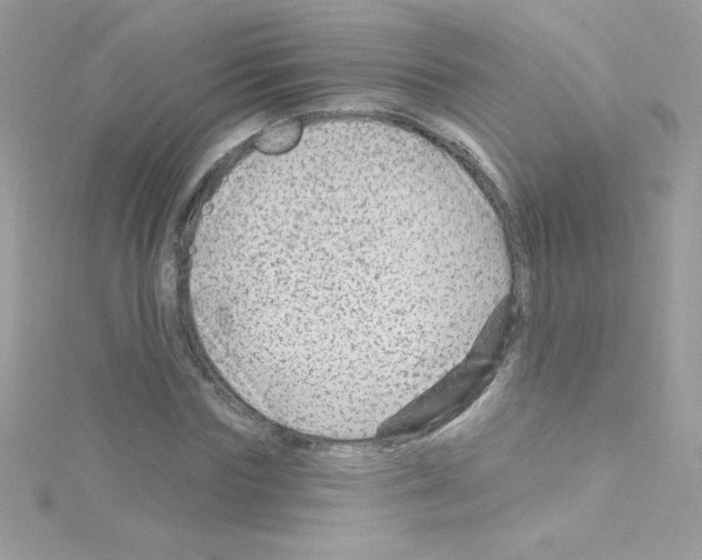 X0000114400827200911271515