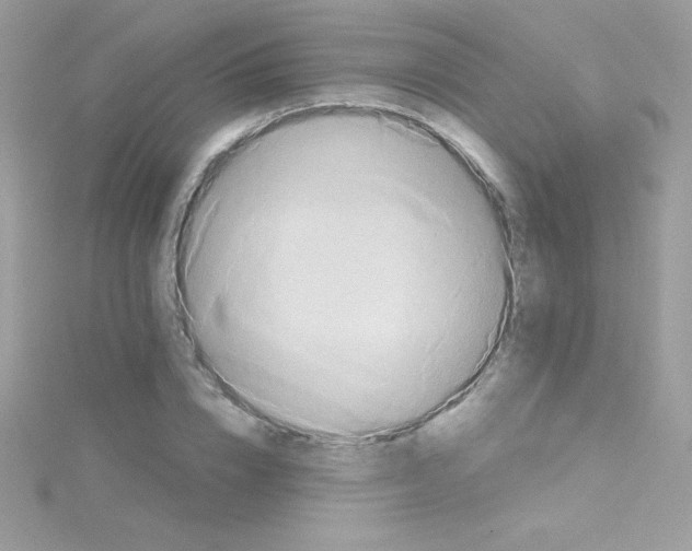 X0000114400832200911271515