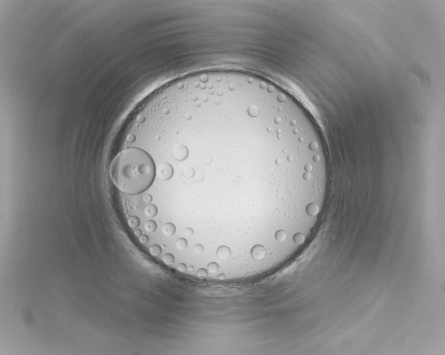 X0000114400835200911271515