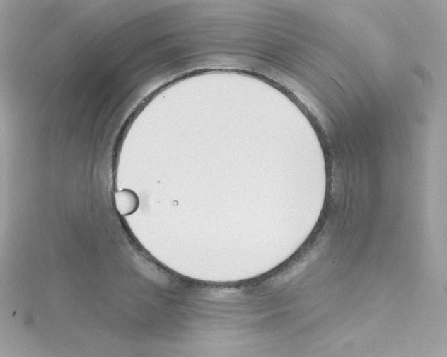 X0000114400837200911271516