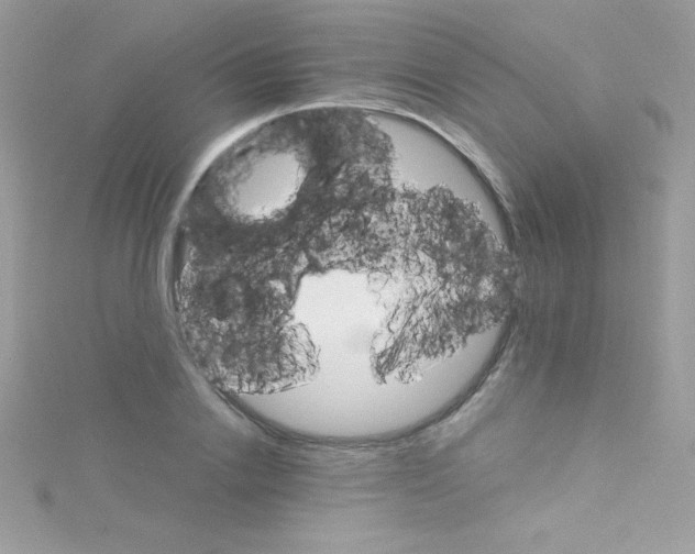 X0000114400838200911271516