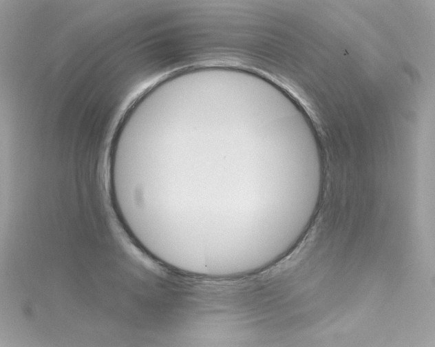 X0000114400840200911271516