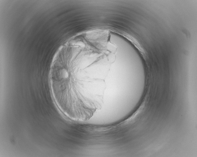 X0000114400841200911271516