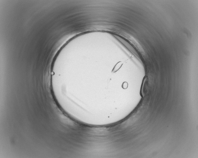 X0000114400844200911271516