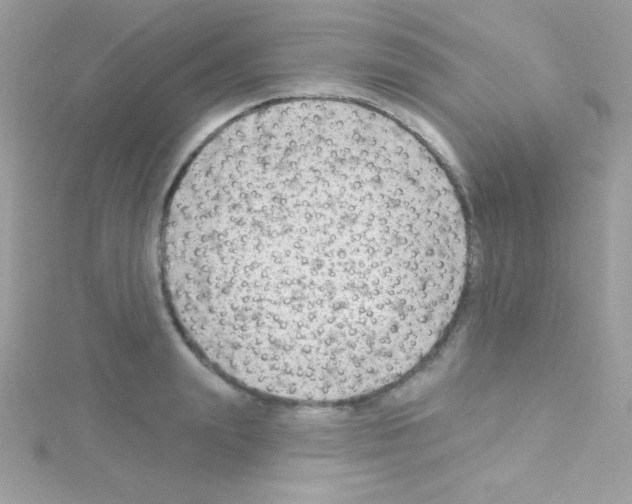 X0000114400847200911271516