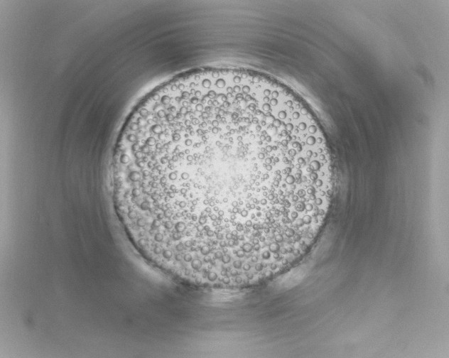 X0000114400848200911271516