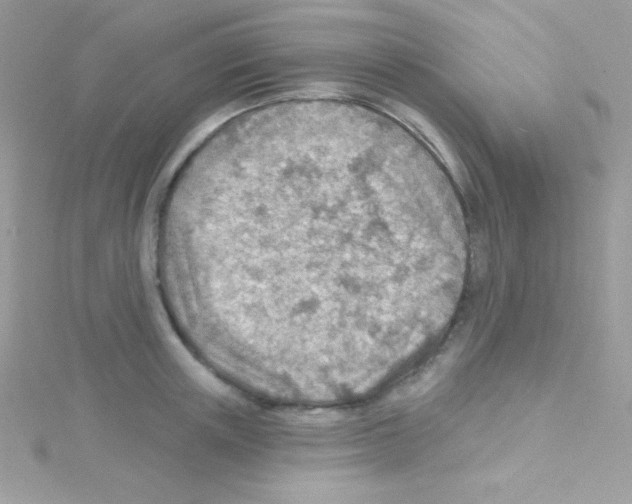 X0000114400851200911271516