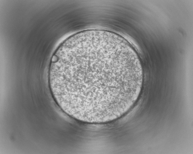 X0000114400854200911271516