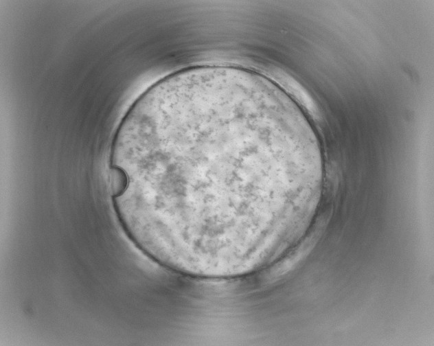 X0000114400855200911271516