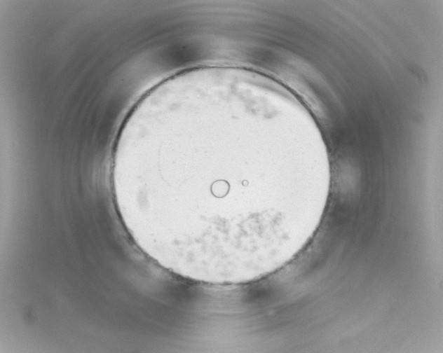 X0000114400856200911271516