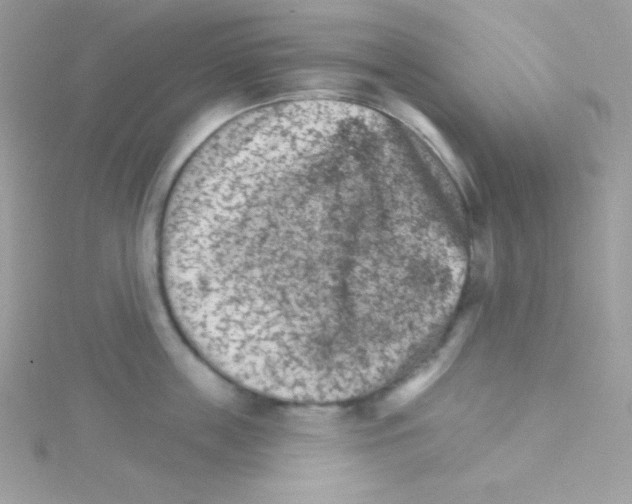 X0000114400859200911271516