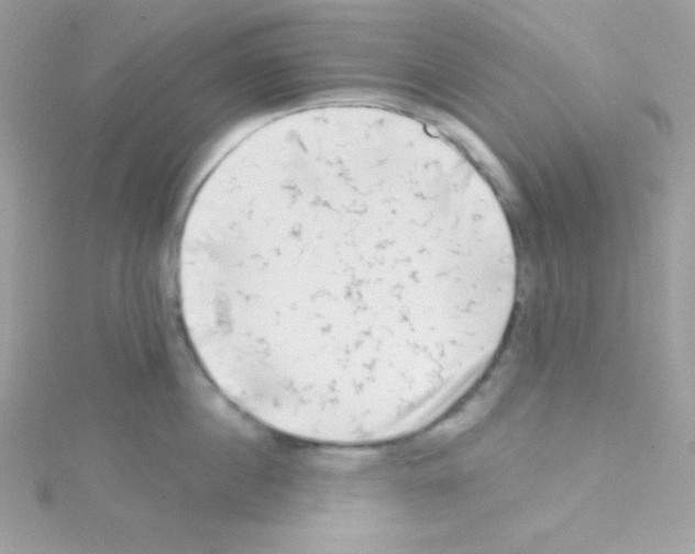 X0000114400860200911271516