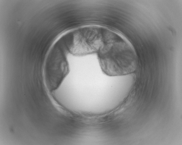 X0000114400861200911271516